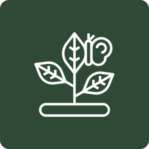 White seedling icon on green background